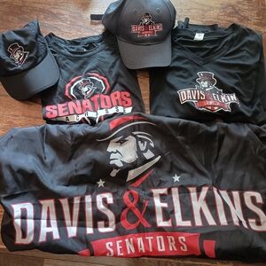 Davis & Elkins lacrosse shirts, hat and flag, D&E lax